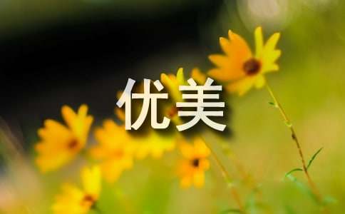 儿童篮球训练计划安排表_0
